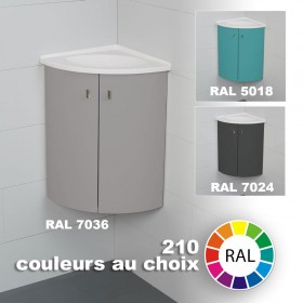 Meuble couleur lave-mains d'angle WC