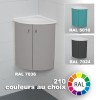 Meuble couleur lave-mains d'angle WC