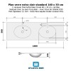 Plan verre double vasque ovale 160 cm