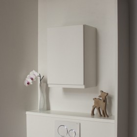 Meuble avec porte au choix à suspendre au mur. Rangement pour WC